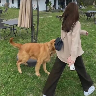 盲证